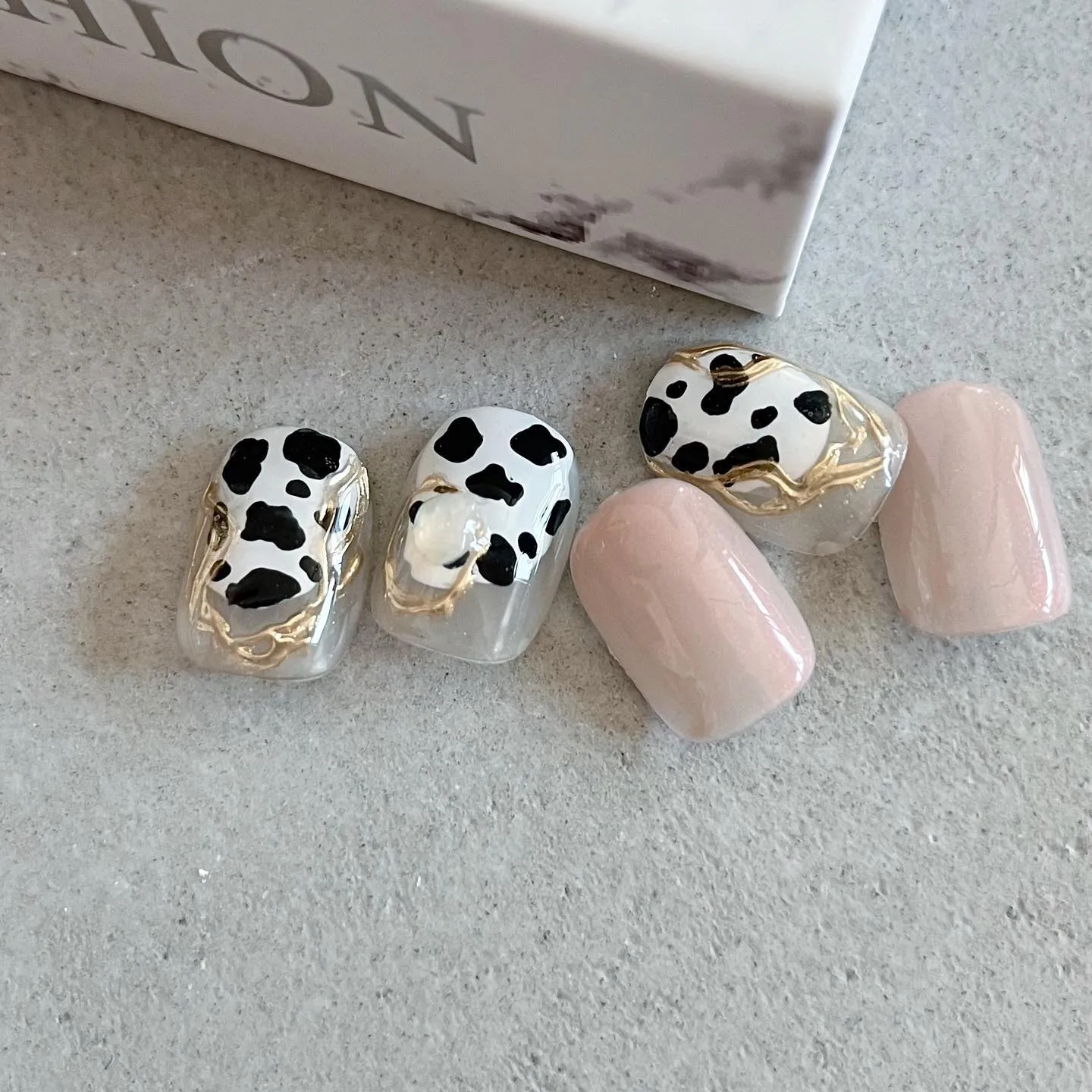 【横浜│港南区│ブルーライン下永谷駅】ダルメシアンニュアンス...