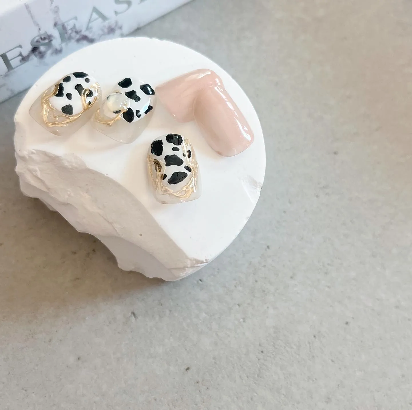 【横浜│港南区│ブルーライン下永谷駅】ダルメシアンニュアンス...