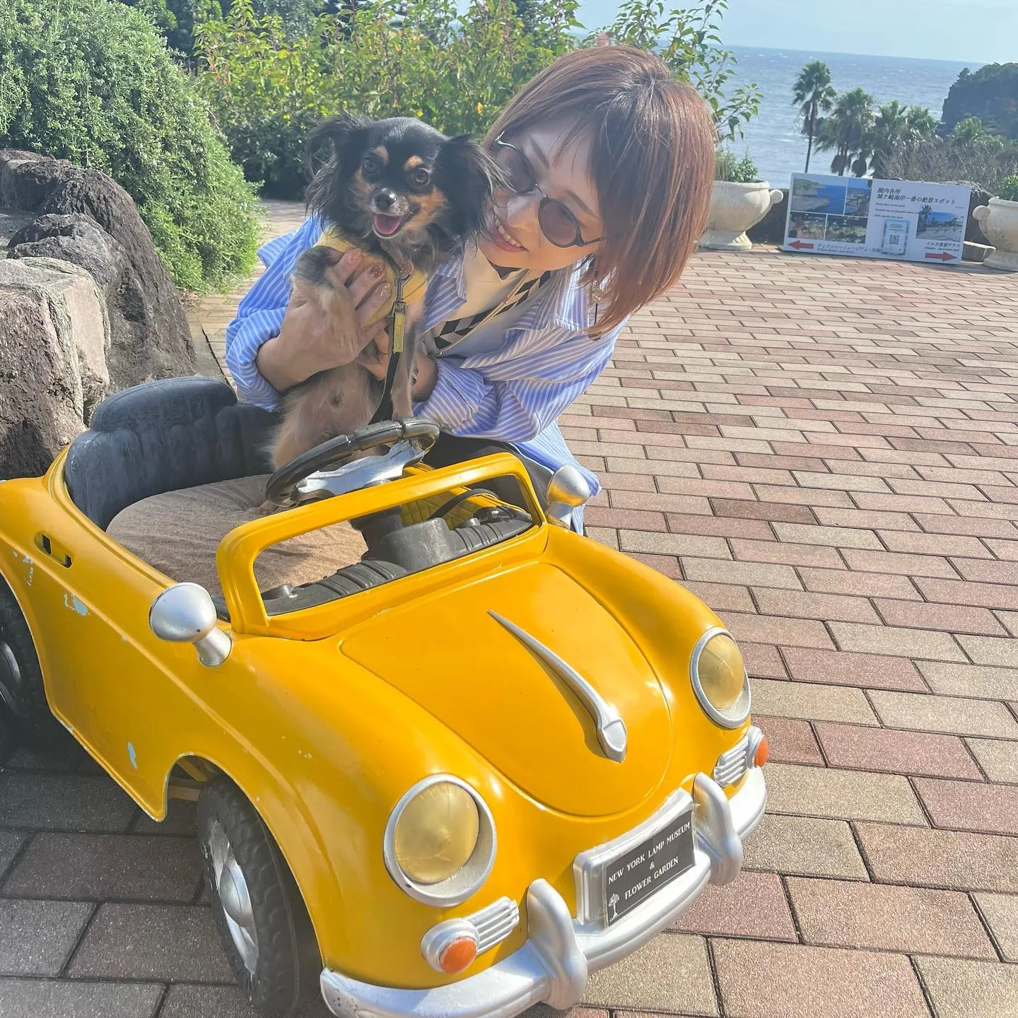 ................ *⋆✈