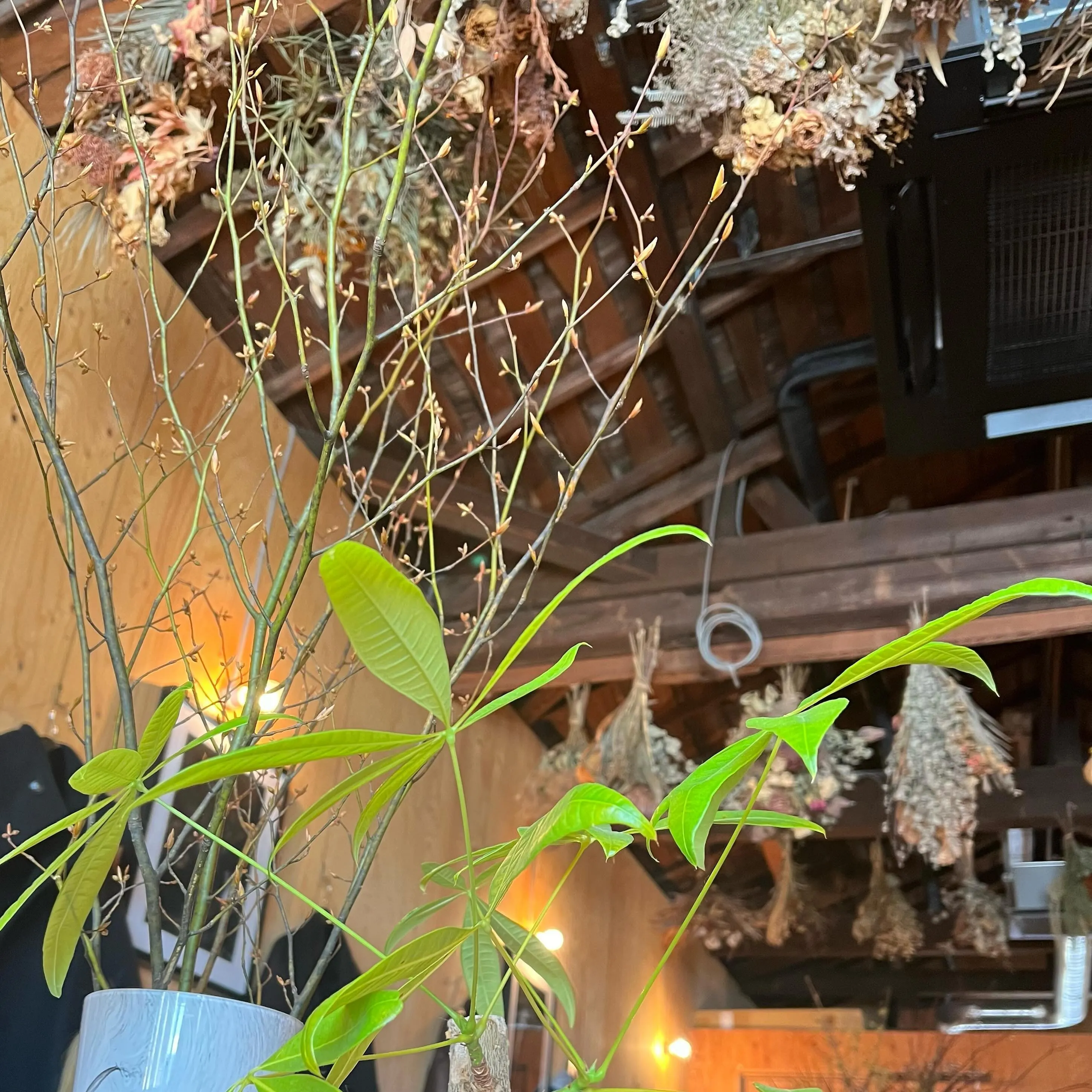 ── 素敵な場所だった♡